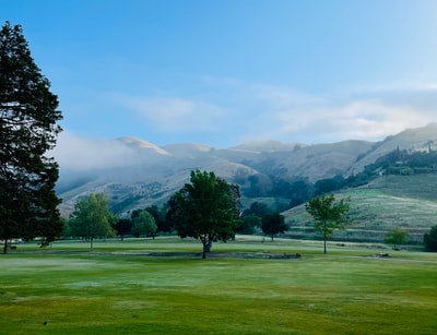 Grass, trees and mountains in the distance
